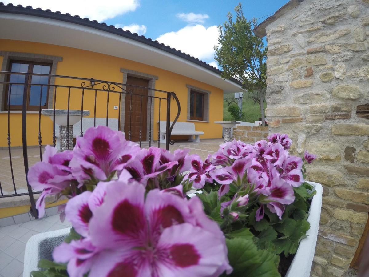 Chalet negli ulivi Silvi Paese Esterno foto